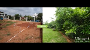 An empty land converted into a beautiful green spot in 24 months.