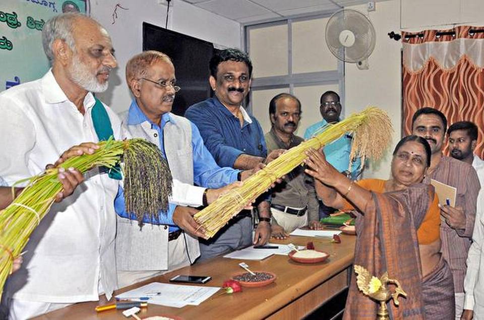 Conservation effort: A file photo of M.K. Naik (second from left), Vice-Chancellor of the University of Agriculture and Horticulture Sciences, handing over a stack of native paddy to a farmer in Shivamogga.  