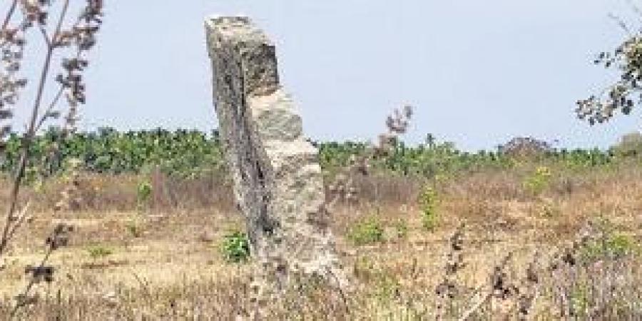 A Menhir found in Hosananjapura village, Bhadravati taluk